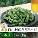 白山村産だだちゃ豆　400g×3袋　＜本豆＞8月中〜下旬お届...