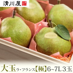 https://thumbnail.image.rakuten.co.jp/@0_mall/sakuranbo/cabinet/fruit2/19la-kiwami3-c.jpg