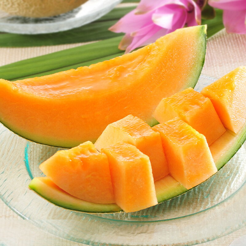 夏の クインシー 2玉 (清川屋のお中元・サマーギフト 山形 庄内砂丘 赤肉 メロン 産地直送)のサムネイル