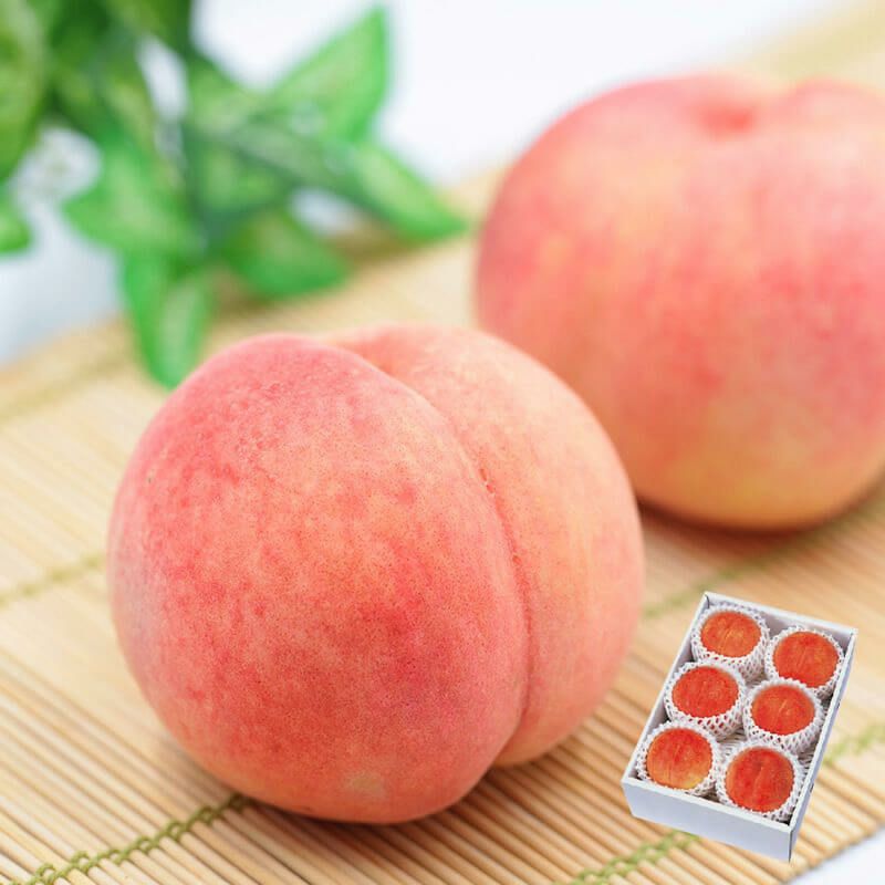 さくら白桃 6玉（約1.5kg） 9月上旬お届け ( 福島県産 桃 もも モモ 晩生 大玉 産地直送フルーツ )