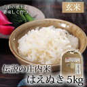 伝説の庄内米 はえぬき/玄米 5kg 【山形県産 特別栽培米