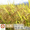 伝説の庄内米 雪若丸/玄米 5kg 【山形県産 特別栽培米 令和元年度産】