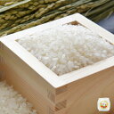 環境配慮米 つや姫 2合 300g ( 令和6年度 山形県産 特別栽培米 庄内米 精米 お米 白米 )