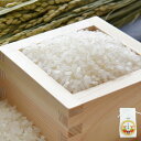 環境配慮米 つや姫 1kg ( 令和6年度 山形県産 特別栽培米 庄内米 精米 お米 白米 )