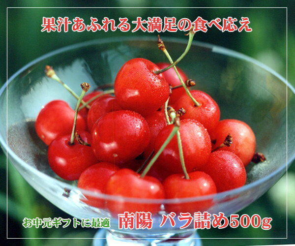 【南陽】バラ500g　貴重な大粒！山形県産　産地直送さくらんぼ【清川屋のサマーギフト】