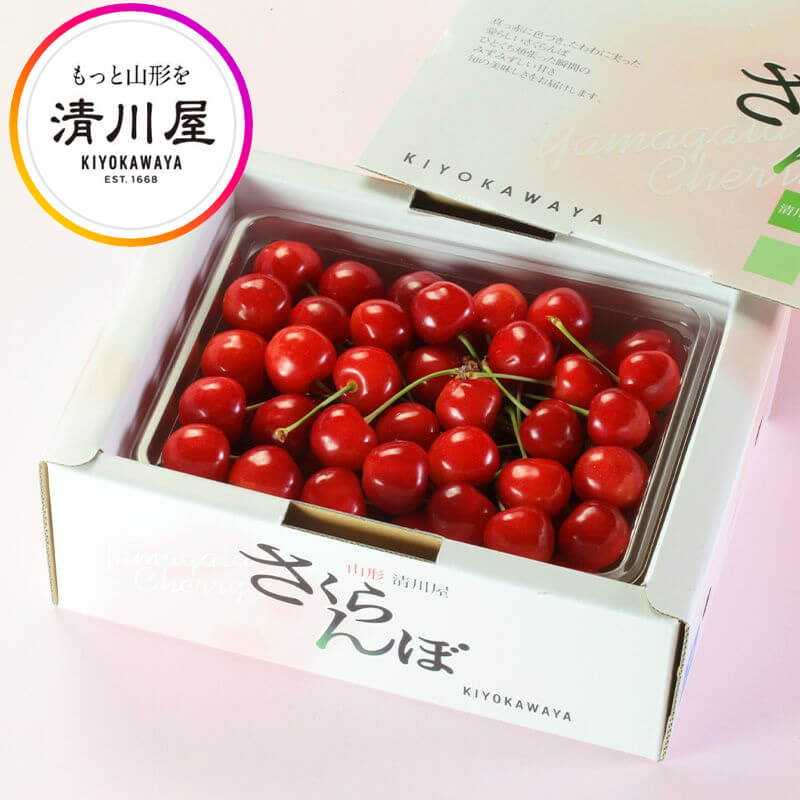 さくらんぼ 佐藤錦 特選 バラ詰め L 500g ( 山形県産 さくらんぼ を産地直送 お中元 ギフト 初夏の贈答用 高級フルーツ 特選佐藤錦 清川屋のサクランボ )のサムネイル