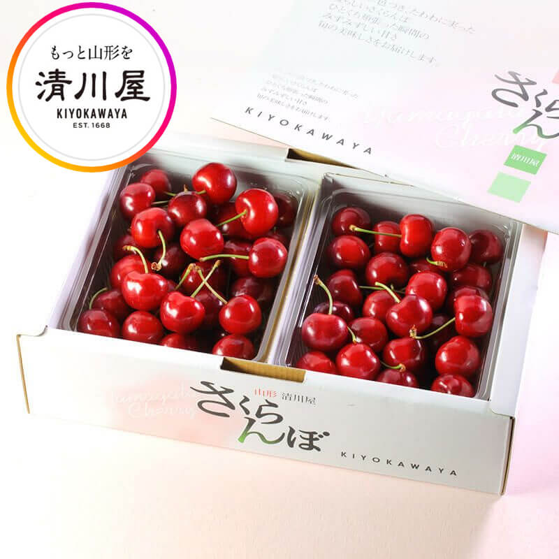 さくらんぼ 紅秀峰 特選 バラ詰め 2L 1kg ( 山形県産 さくらんぼ を産地直送 お中元 ギフト 初夏の贈答用 高級フルーツ 清川屋のサクランボ )