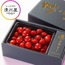 高級なフルーツ さくらんぼ 真の桜桃【佐藤錦】 2Lサイズ 500g ( 山形県産 さくらんぼ を産地直送 お中元 ギフト 初夏の贈答用 高級フルーツ 清川屋のサクランボ )