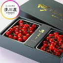さくらんぼ 真の桜桃 紅秀峰 2L 1kg ( 山形県産 さくらんぼ を産地直送 お中元 ギフト 初夏の贈答用 高級フルーツ 清川屋のサクランボ )