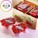 さくらんぼ 佐藤錦 秀選 L 200g×4パック オリジナルパック ( 山形県産 さくらんぼ を産地直送 初夏の贈答用に高級フルーツ 清川屋のサクランボ ドーム...