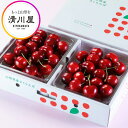 さくらんぼ 紅てまり 特選 バラ詰め 2〜3L 700g ( 山形県産 さくらんぼ を産地直送 お中元 ギフト 初夏の贈答用 高級フルーツ 清川屋のサクランボ ...