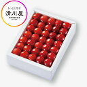 さくらんぼ 紅てまり 特選 職人詰め 2〜3L 500g ( 山形県産 さくらんぼ を産地直送 お中元 ギフト 初夏の贈答用 高級フルーツ 手詰め 清川屋のサク...