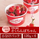 さくらんぼちゃん　秀撰佐藤錦　120g×6カップ　【山形県産...