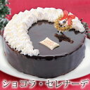 ショコラ・セレナーデ 【清川屋のクリスマスケーキ 濃厚チョコレートケーキ】