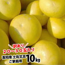 【送料無料】高知産 土佐文旦 約10kg20〜30玉入り 訳あり家庭用ぶんたんブンタン2月末頃より発送予定沖縄本土と北海道は別途送料 全国の離島は発送不可