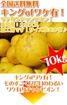 【送料無料】 キングofワケ有！訳ありチャンピオン！高知産10kg加工用土佐文旦沖縄県と離島は配送不可北海道へお届けの商品は1個あたり380円の送料が加算されます！