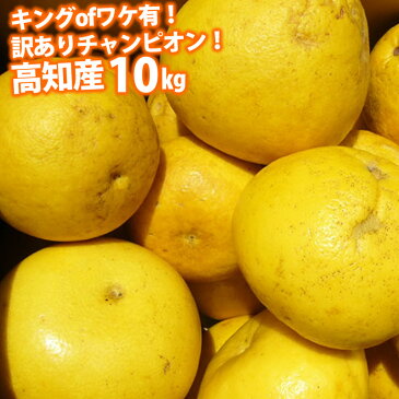 【送料無料】 キングofワケ有!訳ありチャンピオン!高知産10kg加工用土佐文旦沖縄県と離島は配送不可北海道へお届けの商品は1個あたり380円の送料が加算されます!