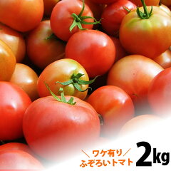 https://thumbnail.image.rakuten.co.jp/@0_mall/sakuraseika/cabinet/buntan/kyoutu/tomato/tomato-wake2.jpg