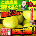 ご家庭用 温室水晶文旦たっぷり約10kg12〜30玉入訳ありブンタン 高知産 早生ぶんたん 【smtb-KD】【RCP - 産直龍馬くん