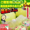 【全国送料無料】ご贈答用 温室水晶文旦5kg6〜9玉入最高級ブンタン高知産早生ぶんたん ギフト用化粧箱入 - 産直龍馬くん