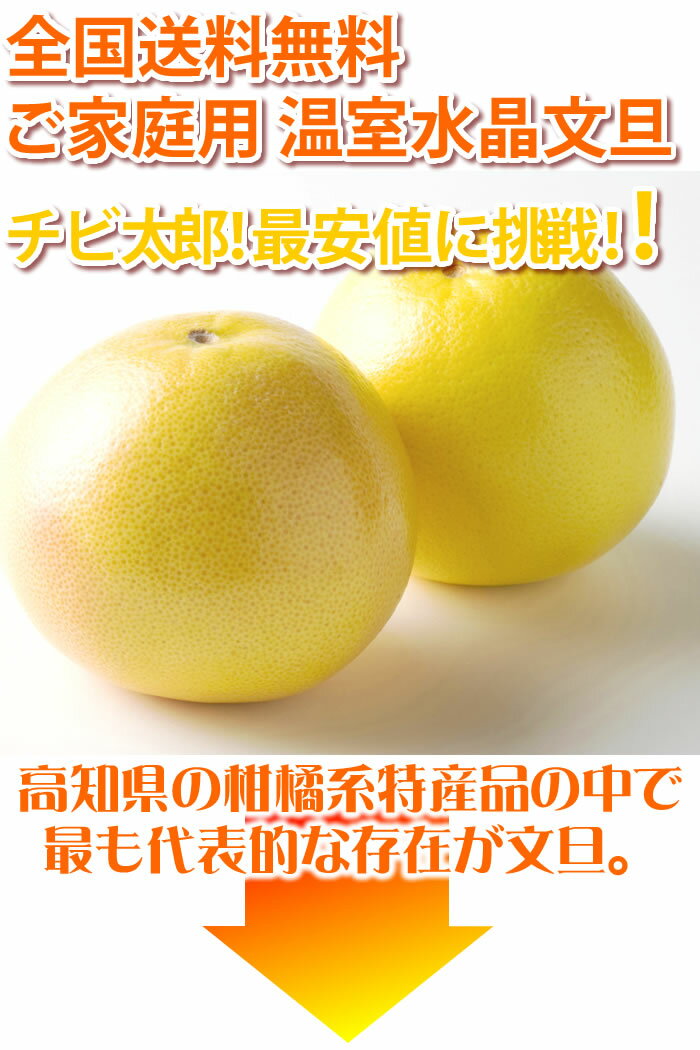 水晶文旦 送料無料 約5kgご家庭用 温室 水晶 文旦 訳ありハウスブンタン 高知県産 早生ぶんたん 沖縄本土と北海道は別途送料 全国の離島は発送不可