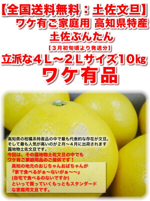 文旦土佐文旦文旦家庭用送料無料文旦訳あり産直龍馬くんぶんたん文旦10kg文旦訳あり10kg訳あり文旦産直龍馬
