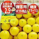 小夏 約2.5キロ★ギフト用秀品日向夏・ニューサマーオレンジ!高知産4月下旬頃より発送予定沖縄本土と北海道は別途送料全国の離島は発送不可 ついに夏のド定番!小夏...