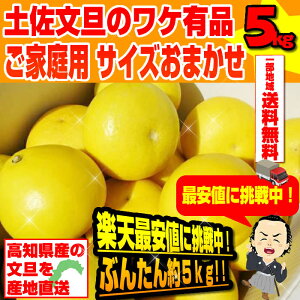 【高知産土佐文旦の訳あり品】ご家庭用サイズおまかせ5000g入♪ぶんたん約5kg2月中頃から発送予定沖縄本土と北海道は別途送料全国の離島は発送不可