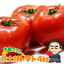 トマト・送料無料・桃太郎・とまと・約4kg・★高知愛媛産・トマト・とまと沖縄本土と北海道は別途送料全国の離島は発送不可