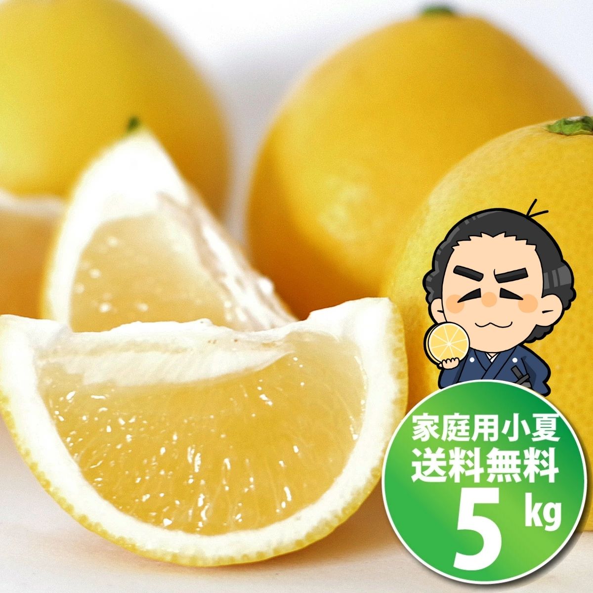 小夏★【送料無料】ご家庭用高知産 土佐小夏 約5キロ日向夏 ニューサマーオレンジ沖縄本土と北海道は別途送料 全国の離島は発送不可のサムネイル