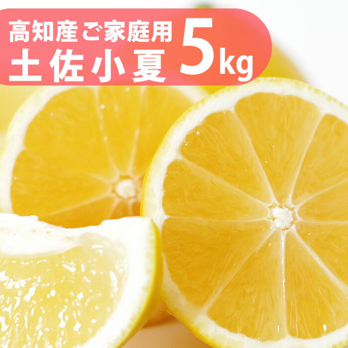 小夏！【送料無料】ご家庭用♪高知産 土佐小夏 約5kg 日向夏 ニューサマーオレンジ4月中頃より発送予定沖縄本土と北海道は別途送料 全国の離島は発送不可