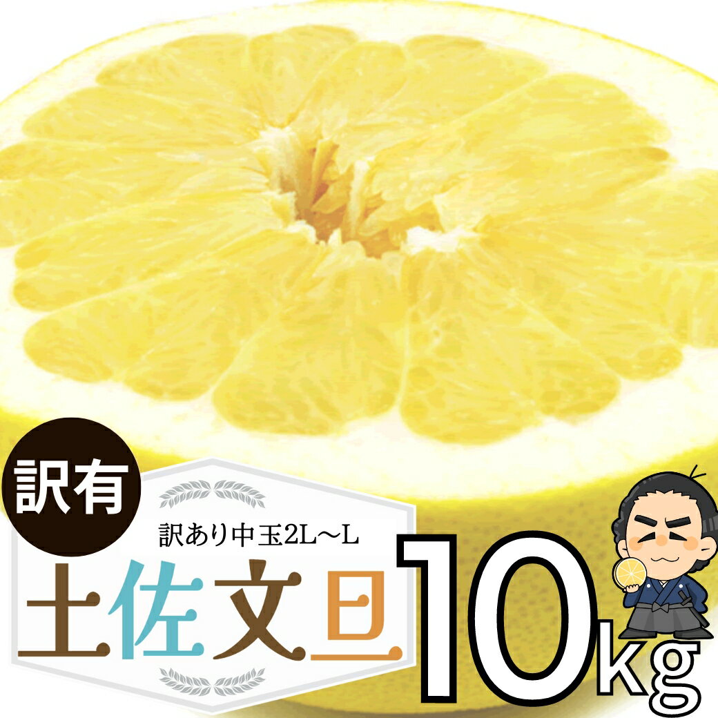＜LINE初回登録で100円オフ＞土佐文旦 本場高知産　中玉L・2Lサイズ約10kgワケ有ご家庭用ブンタン！2月上中旬頃発送予定沖縄本土と北海道は別途送料 全国の離島は発送不可のサムネイル