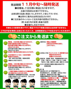 【送料無料】高知産山北みかんMSサイズ限定10kgみかん蜜柑中級品沖縄県と離島は配送不可北海道は1個につき380円の送料