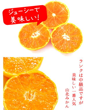 【送料無料】高知産山北みかんMSサイズ限定10kgみかん蜜柑中級品沖縄県と離島は配送不可北海道は1個につき380円の送料