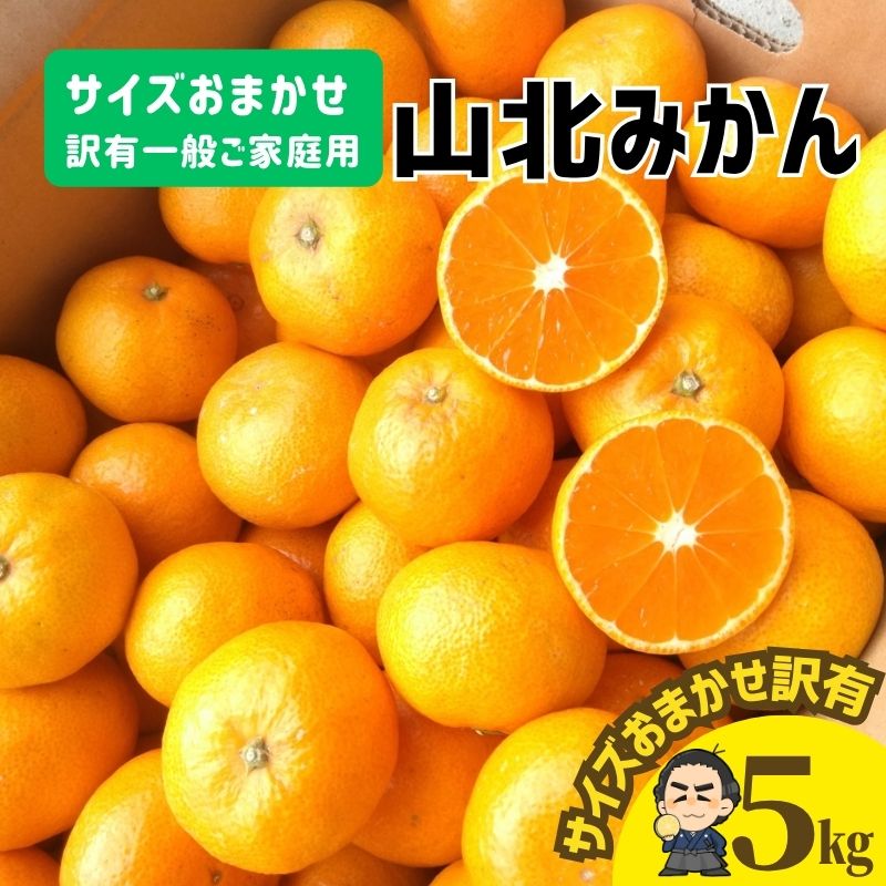 ̵ۤߤ̾Ϲλ̤ߤ5kg辰̤ͭ 겭ڤ̳ƻΥȯԲ11庢ȯͽ