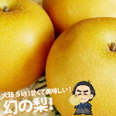送料無料・秋月梨・あきづき梨4〜5kg甘くて美味しい 高知県産9月中頃〜発送分沖縄本土と北海道は別途送料全国の離島は発送不可