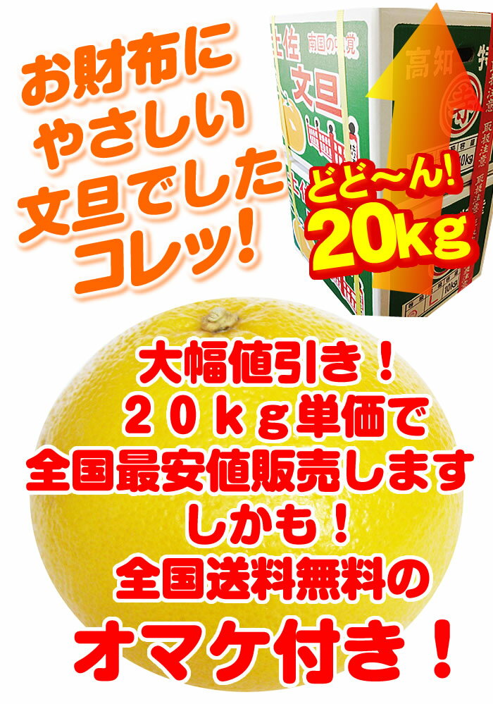 爆盛爆安20kg L2Lサイズ 土佐文旦 高知産 土佐文旦 訳ありご家庭用 ぶんたんブンタン 3月下旬頃より発送予定沖縄本土と北海道は別途送料 全国の離島は発送不可 爆盛爆安20kg L2Lサイズ 土佐文旦 高知産 土佐文旦 訳ありご家庭用 ぶんたんブンタン 3月下旬頃より発送予定沖縄本土と北海道は別途送料 全国の離島は発送不可