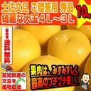 【送料無料】 土佐文旦 ご贈答用 秀品 綺麗な大玉4L〜3L...