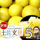 【高知産 土佐文旦の訳あり品】 ご家庭用 サイズおまかせ♪ぶんたん約5kg2月上中旬頃発送予定沖縄本土と北海道は別途…