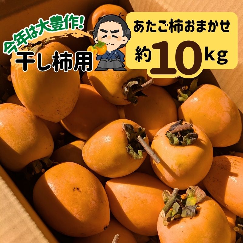 あたご柿 大玉限定3L～2L 約10kg愛媛県 枝付渋柿 愛宕柿 干し柿用11月上中旬頃より発送分沖縄本土と北海道は別途送料 全国の離島は発送不可！沢山美味しい干し柿を！のサムネイル