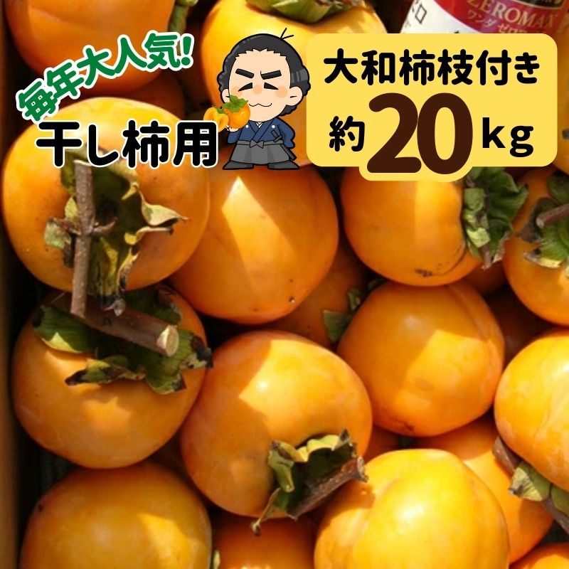 ＜LINE初回登録で100円オフ＞★渋柿 大和柿 約20kg 枝付 高知産 送料無料干し柿・つるし柿・ あんぽ柿・..