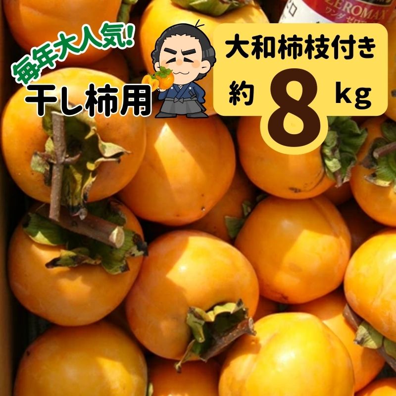 ＜LINE初回登録で100円オフ＞★渋柿 