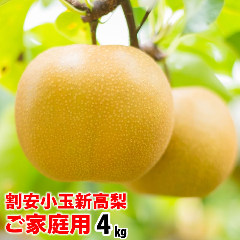 【送料無料】高知県産の新高梨 4kg割安小玉7〜9玉入り 訳ありご家庭用 なし ナシ沖縄と北海道、全国の離島は発送不可のサムネイル