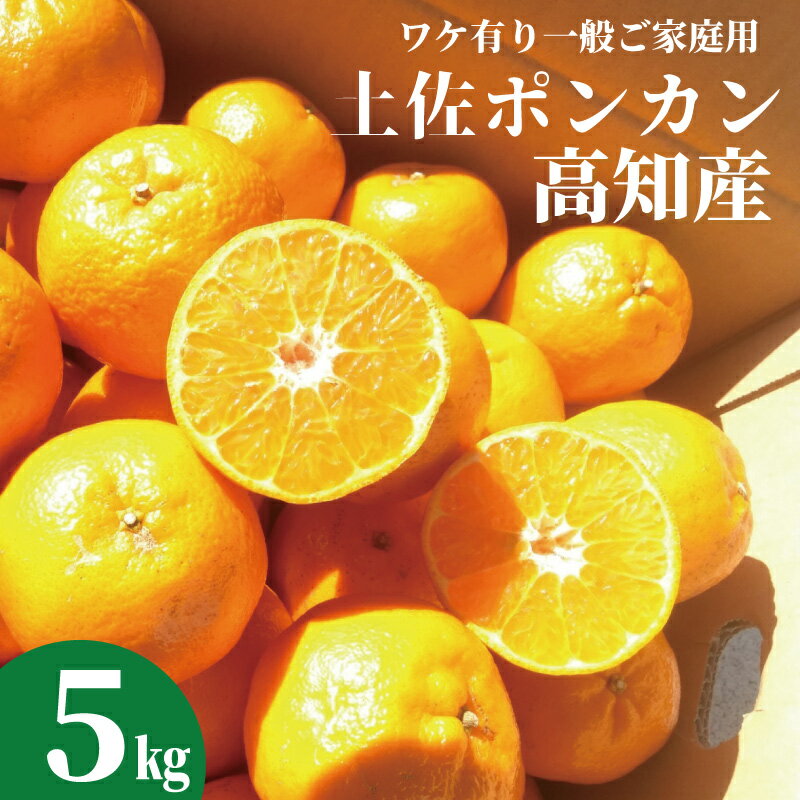 ＜LINE初回登録で100円オフ＞【送料無料】高知産 土佐ポンカン5kg！ワケ有ご家庭用サイズおまかせ♪1月中旬頃より発送予定です 沖縄本土と北海道は別途送料全国の離島は発送不可