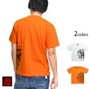 手描き半袖Tシャツ 墨向日葵とカナブン 碧 和柄 和風 京都 手書き