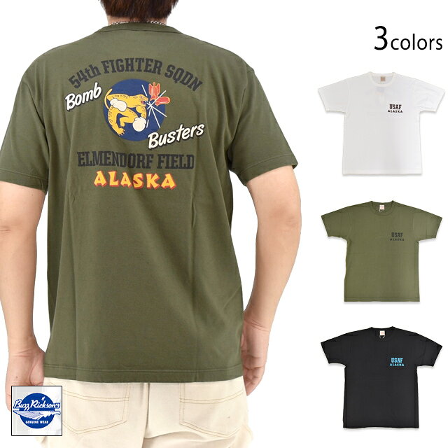 GOVERNMENT ISSUE 半袖Tシャツ「54th FIGHTER SQ.」 BUZZ RICKSON'S BR79755 バズリクソンズ ミリタリー 日本製 東洋エンタープライズ