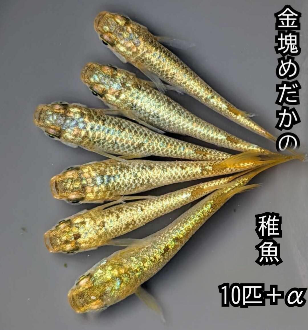 商品画像1