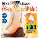 家具 インテリア 腰をじんわり温める湯たんぽ内蔵のクッション