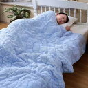 家具 インテリア 今治産のタオル地の肌掛け布団(3)