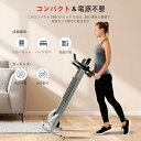 Sunny Health & Fitness (サニーヘルス&フィットネス) 折りたたみ式トレッドミル マニュアルコンパクトミニトレッドミル グレー ウォーキングランニングマシン 電源不要 自宅オフィス用の有酸素運動機器 SF-T1407M